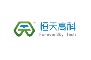 河南恒天電子信息技術(shù)有限公司